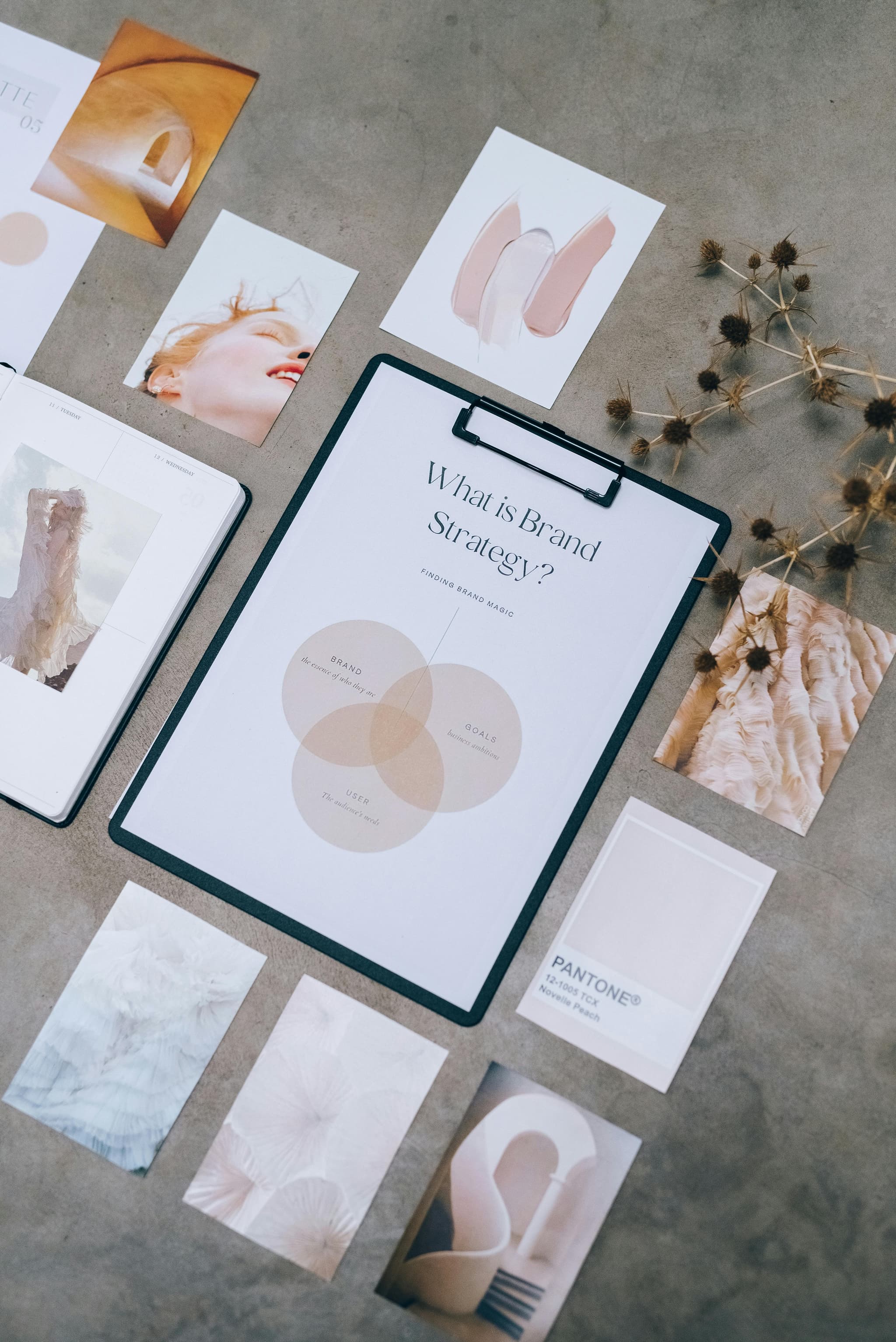 Branding visual